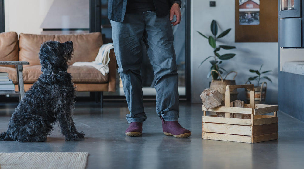 NEUHEITEN FÜR DAS  NEUE JAHR